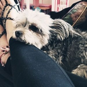 Meet your Posher, Grace